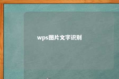 wps图片文字识别 