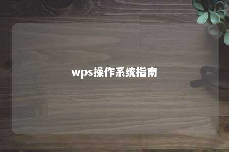 wps操作系统指南 