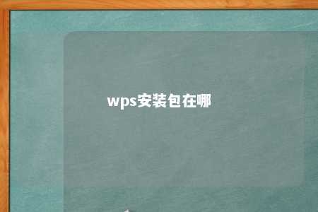 wps安装包在哪 