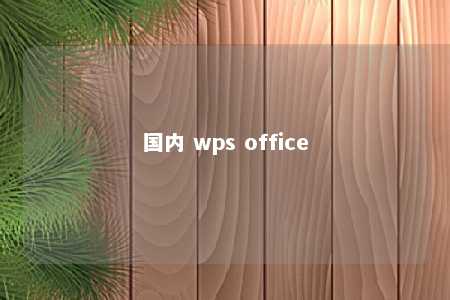 国内 wps office 