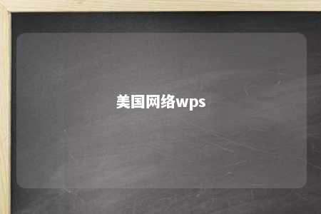 美国网络wps 