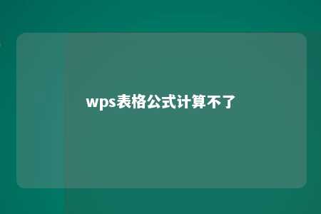 wps表格公式计算不了