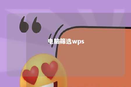 电脑筛选wps 