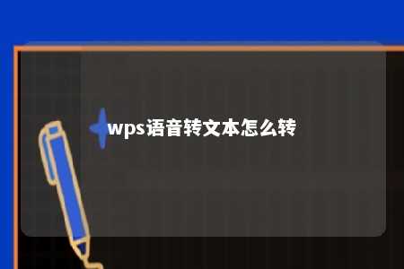 wps语音转文本怎么转 