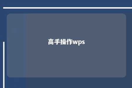 高手操作wps 