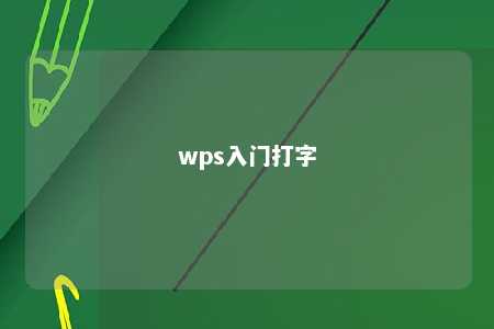 wps入门打字