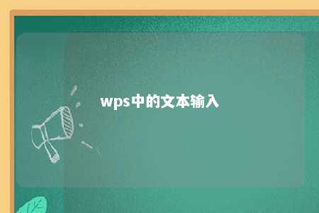 wps中的文本输入 