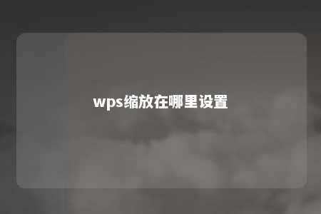 wps缩放在哪里设置 