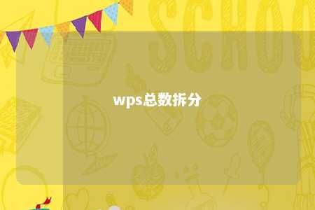 wps总数拆分 