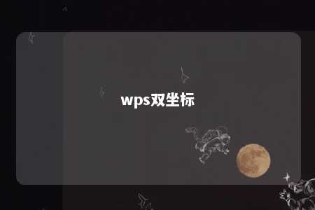 wps双坐标 