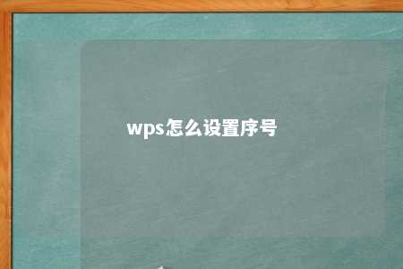 wps怎么设置序号 