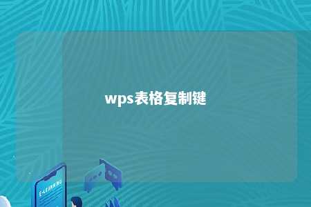 wps表格复制键 