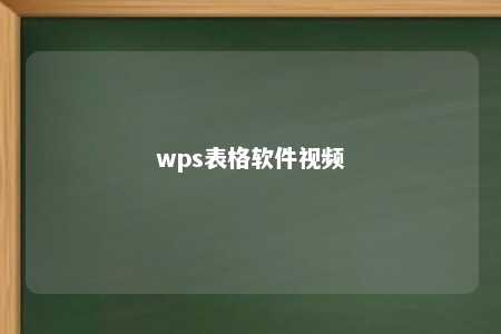 wps表格软件视频 