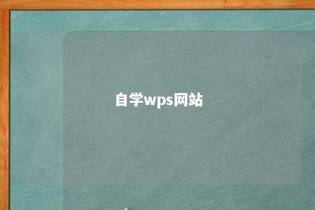 自学wps网站 