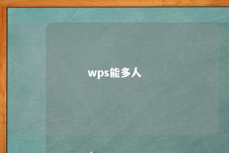 wps能多人 