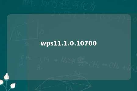 wps11.1.0.10700 