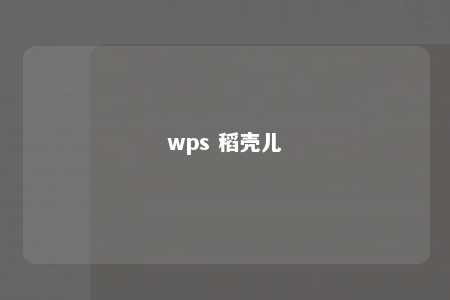 wps 稻壳儿 