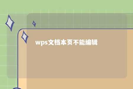 wps文档本页不能编辑