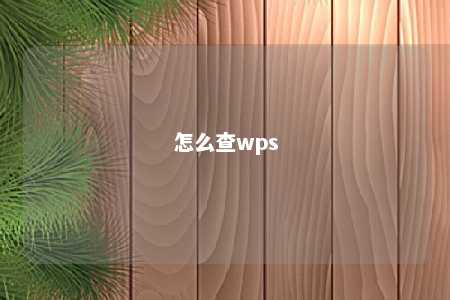 怎么查wps