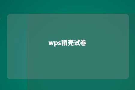 wps稻壳试卷 