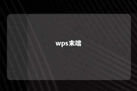 wps末端 