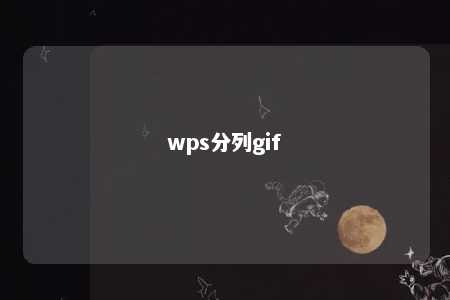 wps分列gif 