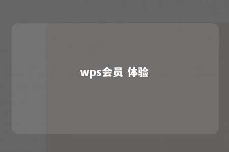 wps会员 体验 