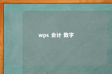 wps 会计 数字 