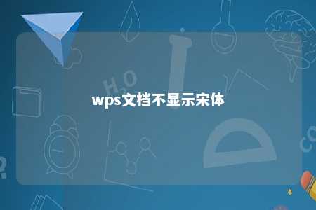 wps文档不显示宋体