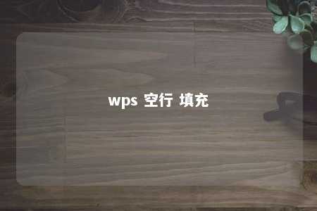 wps 空行 填充 