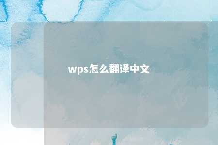 wps怎么翻译中文 