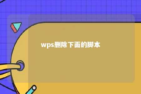 wps删除下面的脚本 