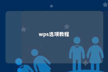 wps选项教程 