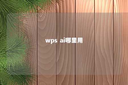 wps ai哪里用 