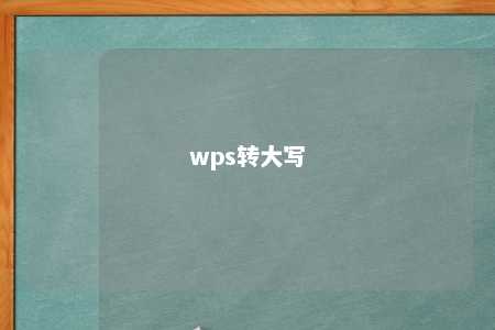 wps转大写