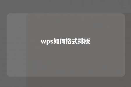 wps如何格式排版 