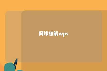 网球破解wps 