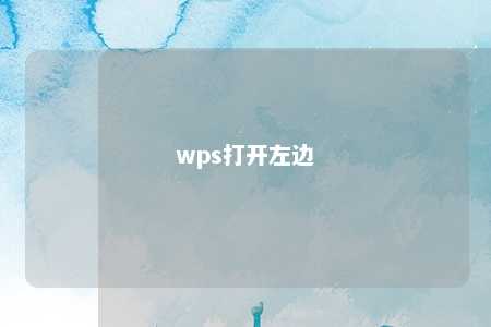 wps打开左边 