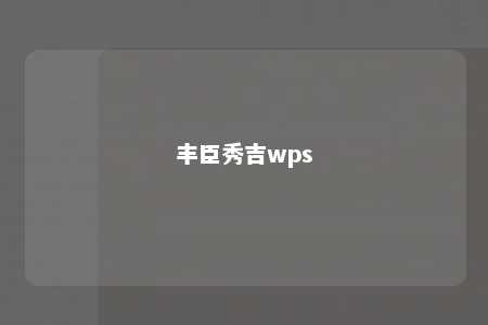 丰臣秀吉wps