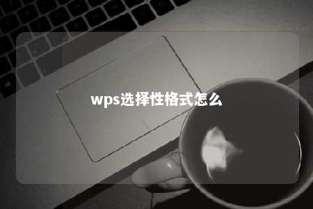 wps选择性格式怎么 