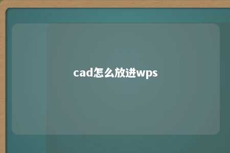 cad怎么放进wps