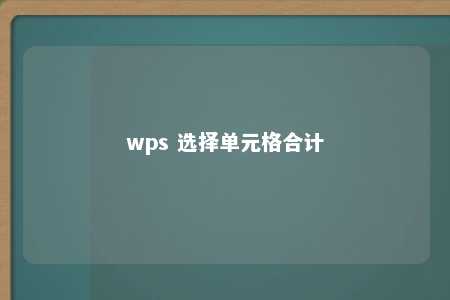 wps 选择单元格合计 