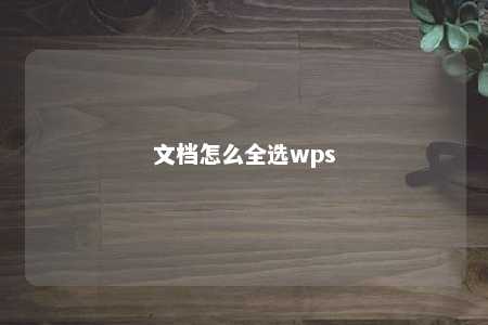 文档怎么全选wps 