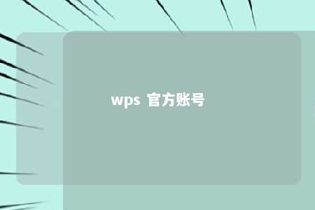 wps 官方账号 