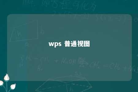 wps 普通视图 