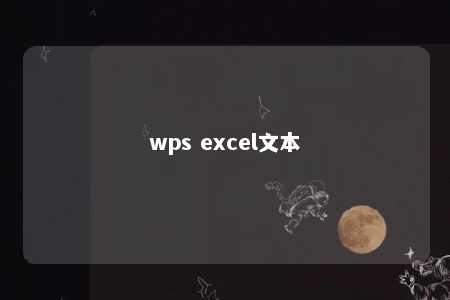 wps excel文本