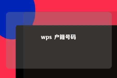 wps 户籍号码