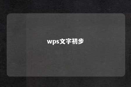 wps文字初步 