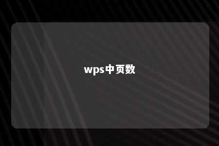 wps中页数 