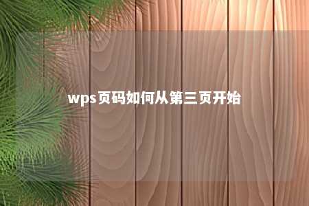 wps页码如何从第三页开始 